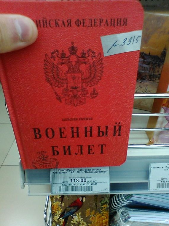 прописка в Малой Вишере